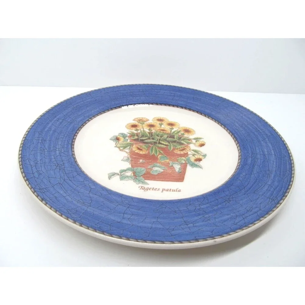 Wedgwood Queen's Ware England Sarah's Garden Tagetes patula Salad Plate 8